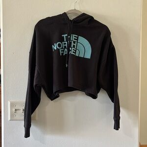 The north face cropped hoodie